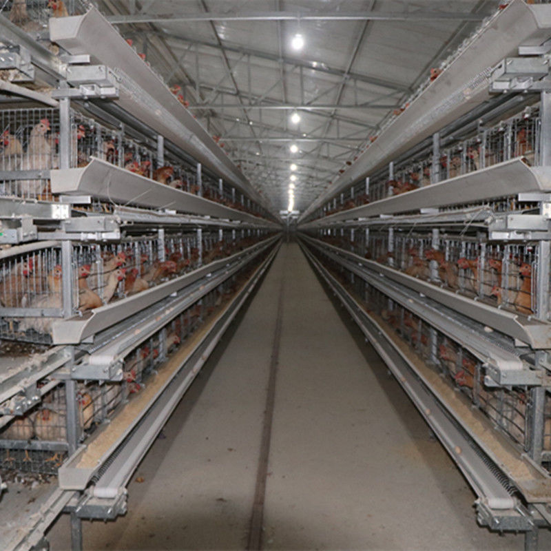 tipo 128 gabbia di 4tier H di strato del pollo degli uccelli con il sistema di pulizia automatico della cinghia