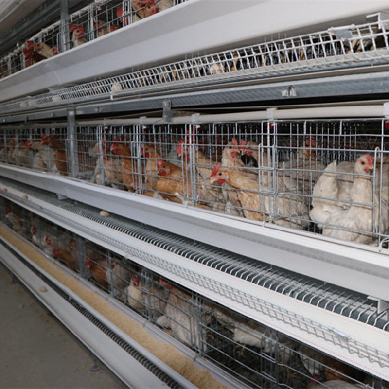 tipo 128 gabbia di 4tier H di strato del pollo degli uccelli con il sistema di pulizia automatico della cinghia