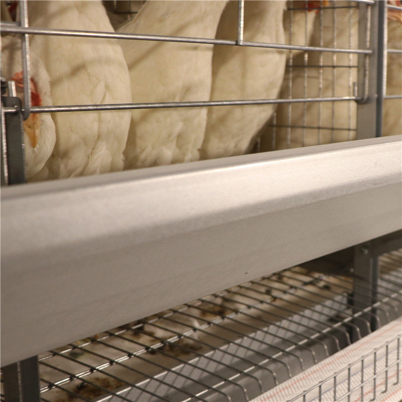 6 uccelli della fila 192/hanno messo il pollo automatico di strato del sistema della gabbia in batteria