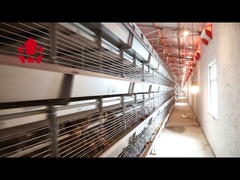 4 Tier 195CM Baby Chick Cage A Type Galvanized Steel Material